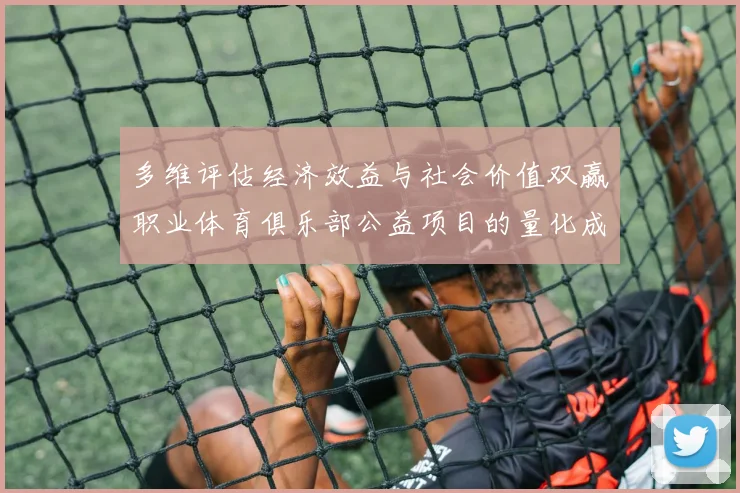 多维评估经济效益与社会价值双赢职业体育俱乐部公益项目的量化成效分析